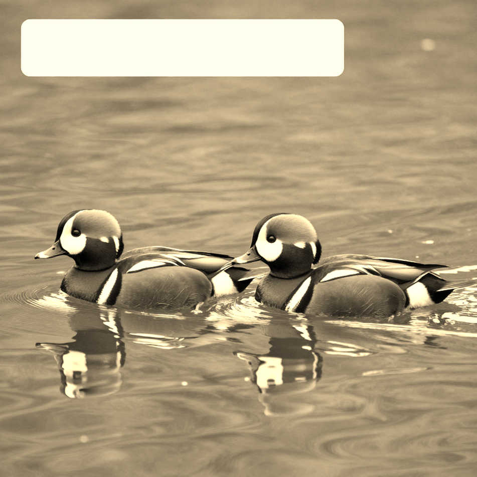তাশখন্দে ২২.০৯ সেকেন্ড: কোটজের বিশ্ব রেকর্ড এবং তার পেছনের স্প্লিট-হিসাব